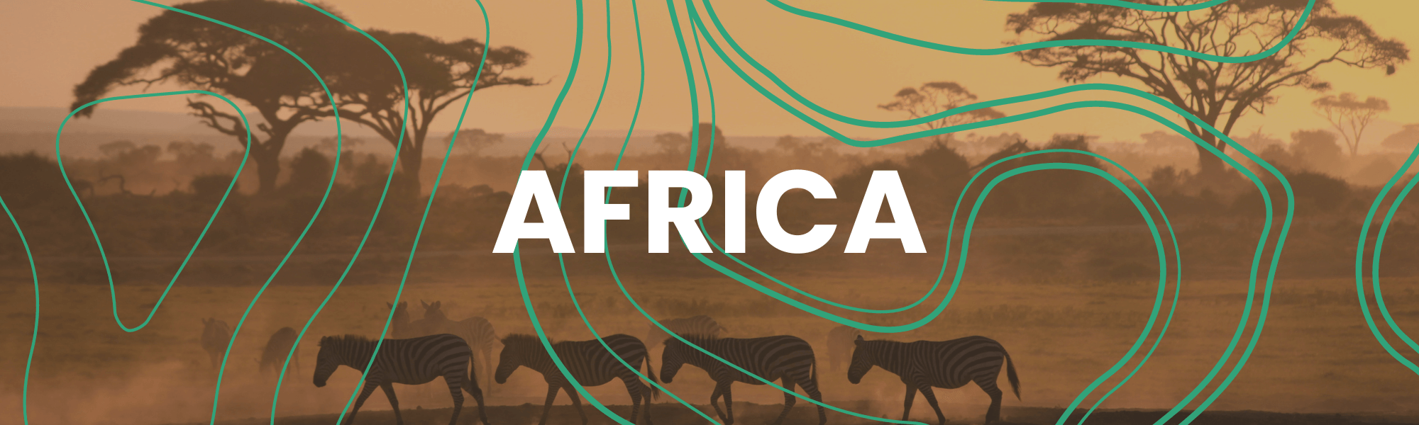 Africa Trip Itinerary Hero Image